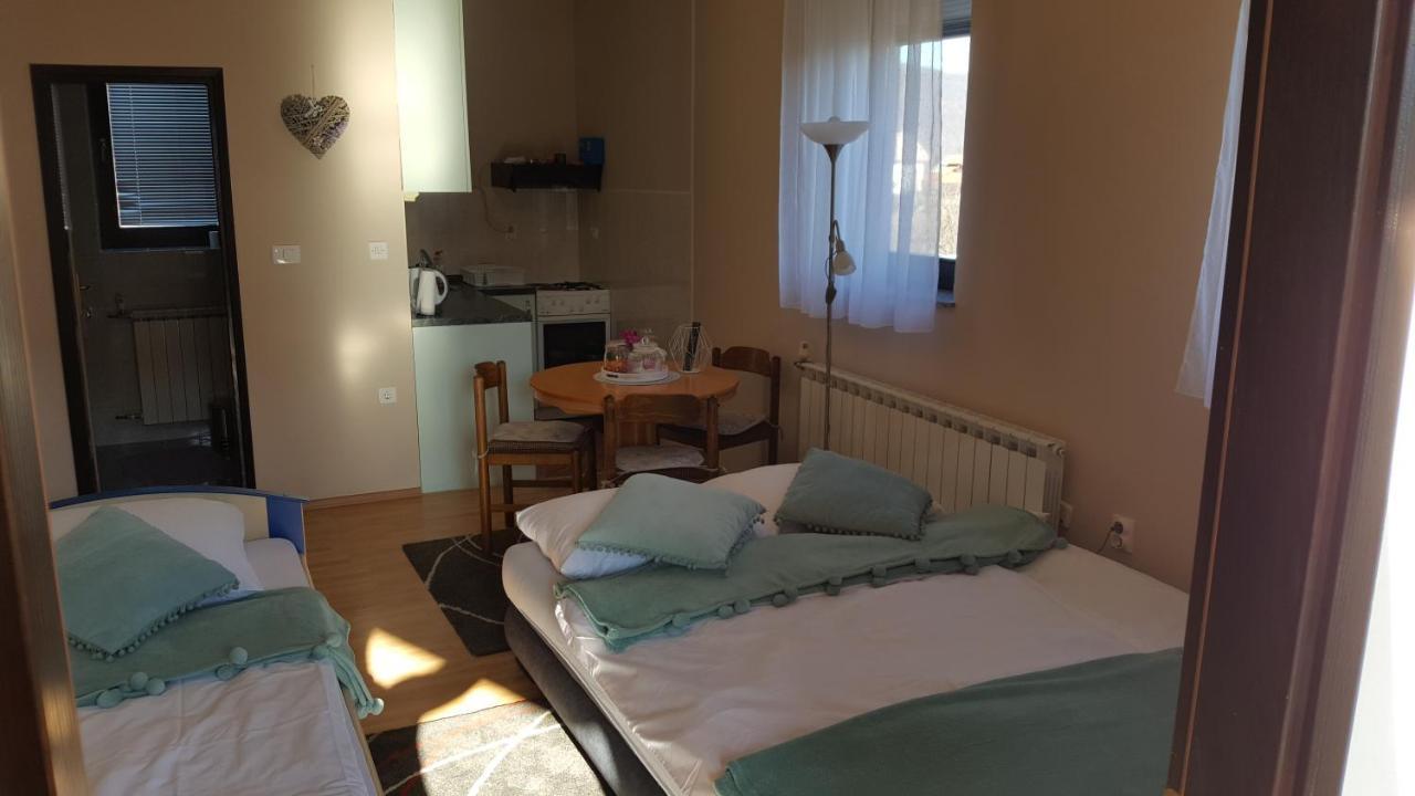 Studio Apartman Salopek Ogulin Exteriér fotografie