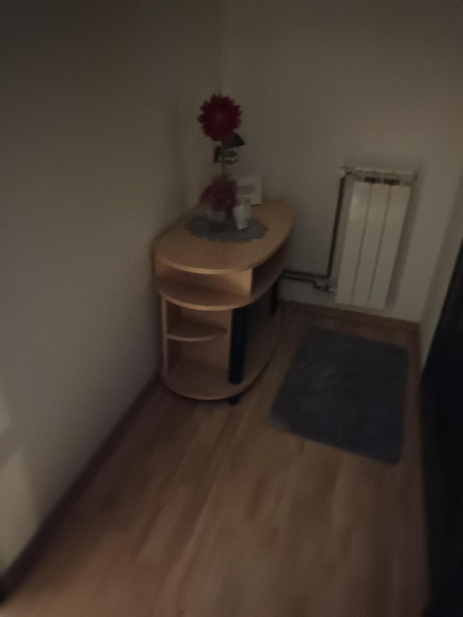 Studio Apartman Salopek Ogulin Exteriér fotografie